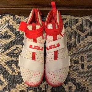 Nike Lebron Basketball Shoes